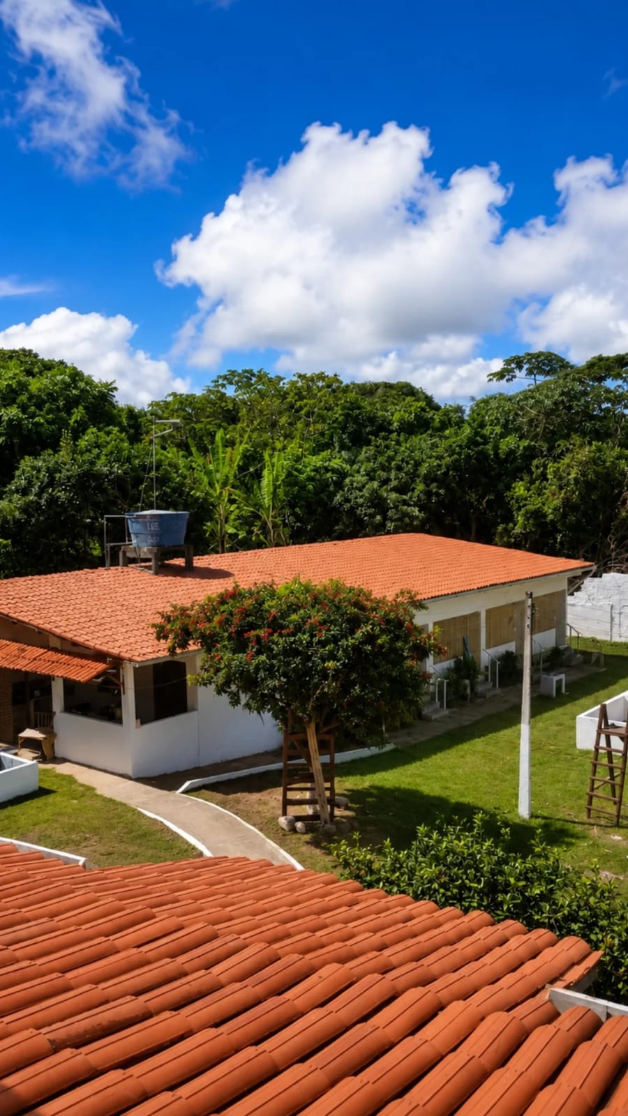 Reuniões Itamaracá