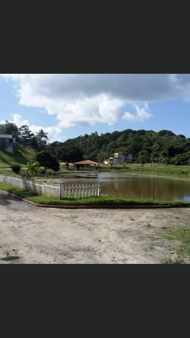 Área Verde e Natureza