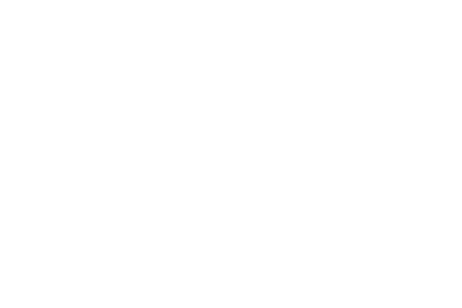 VNI Logo