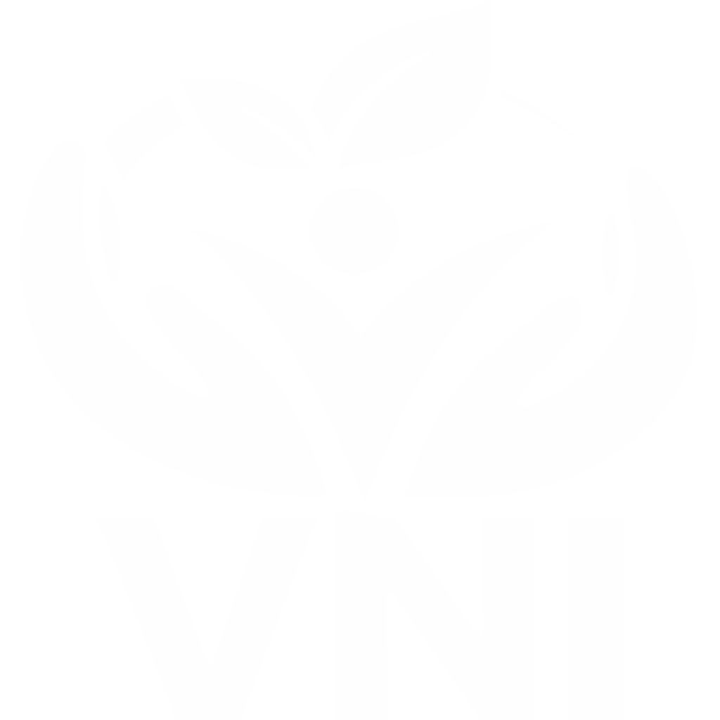 VNI Logo